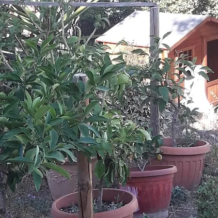 Mediano In Villetta 3 Livelli - Perugia, Olmo Costa D'argento *